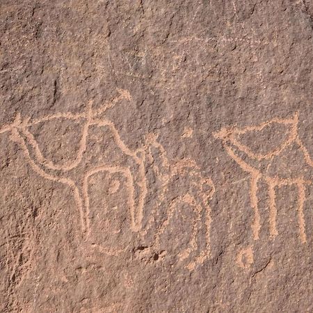 Wadi Rum Albasli المظهر الخارجي الصورة