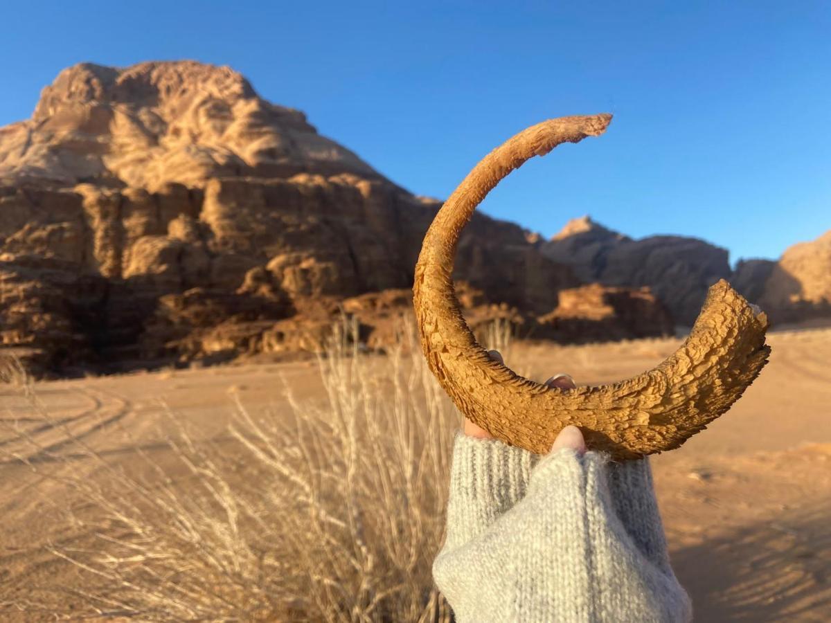 Wadi Rum Albasli المظهر الخارجي الصورة