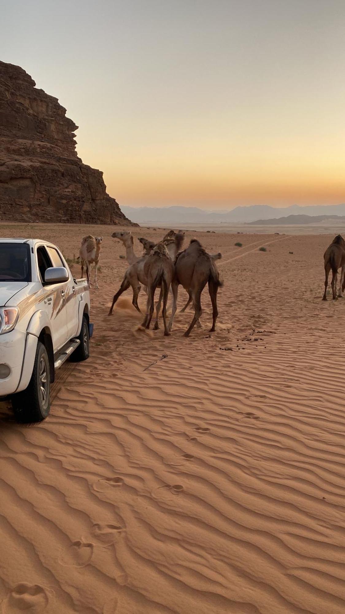 Wadi Rum Albasli المظهر الخارجي الصورة