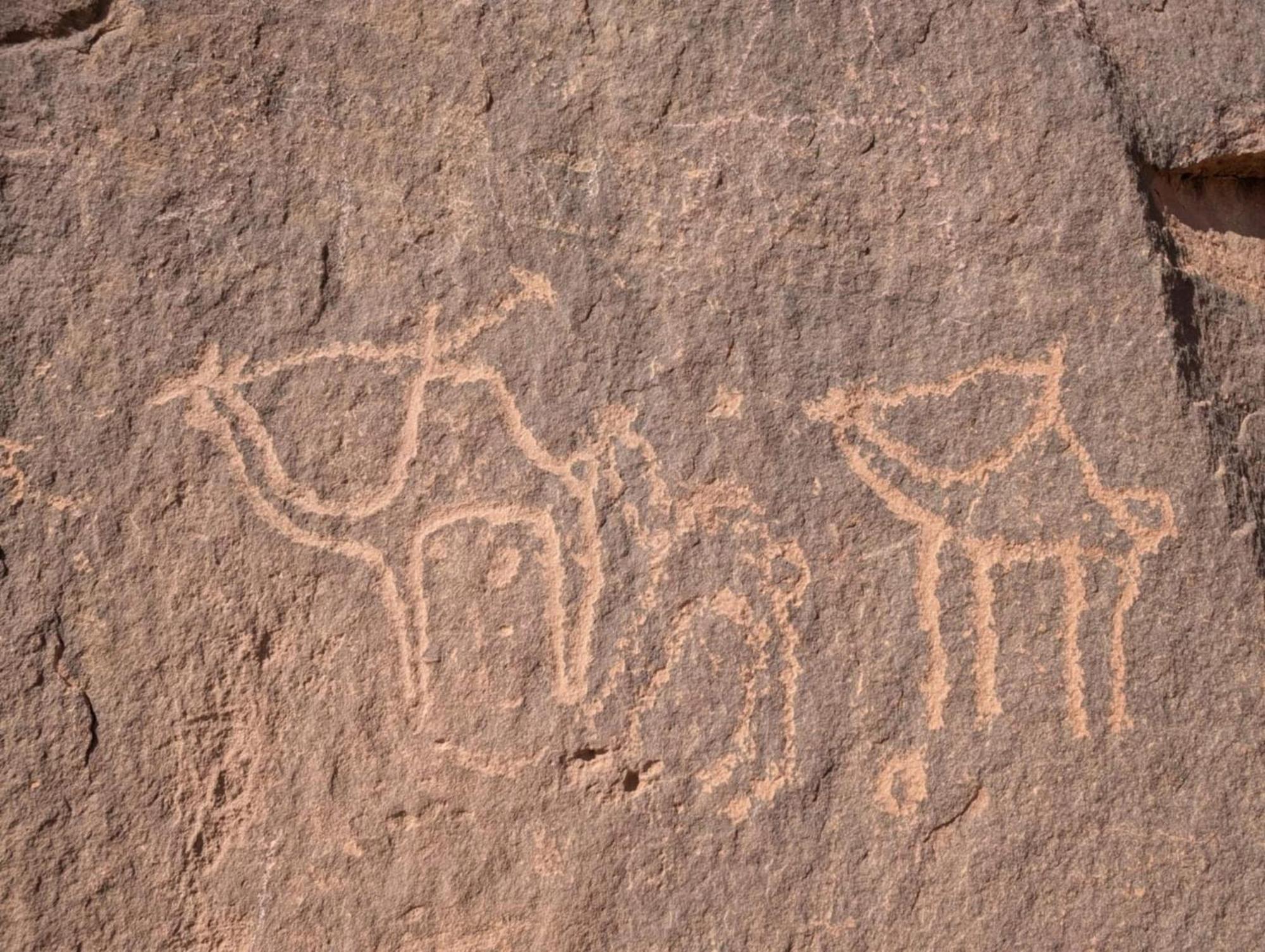Wadi Rum Albasli المظهر الخارجي الصورة
